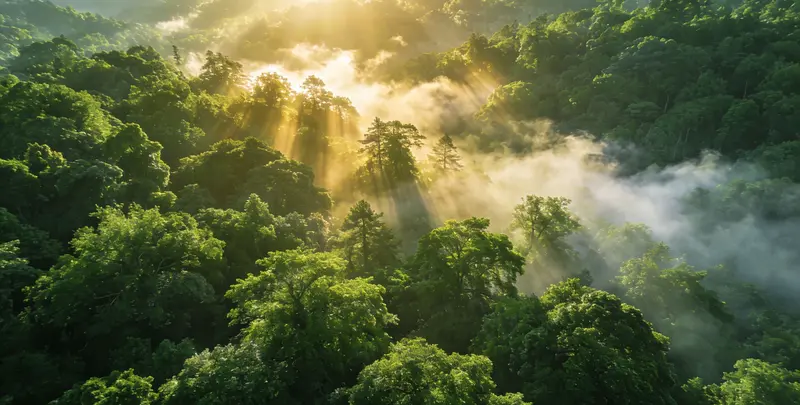 衢州肺癌49基因检测图片1